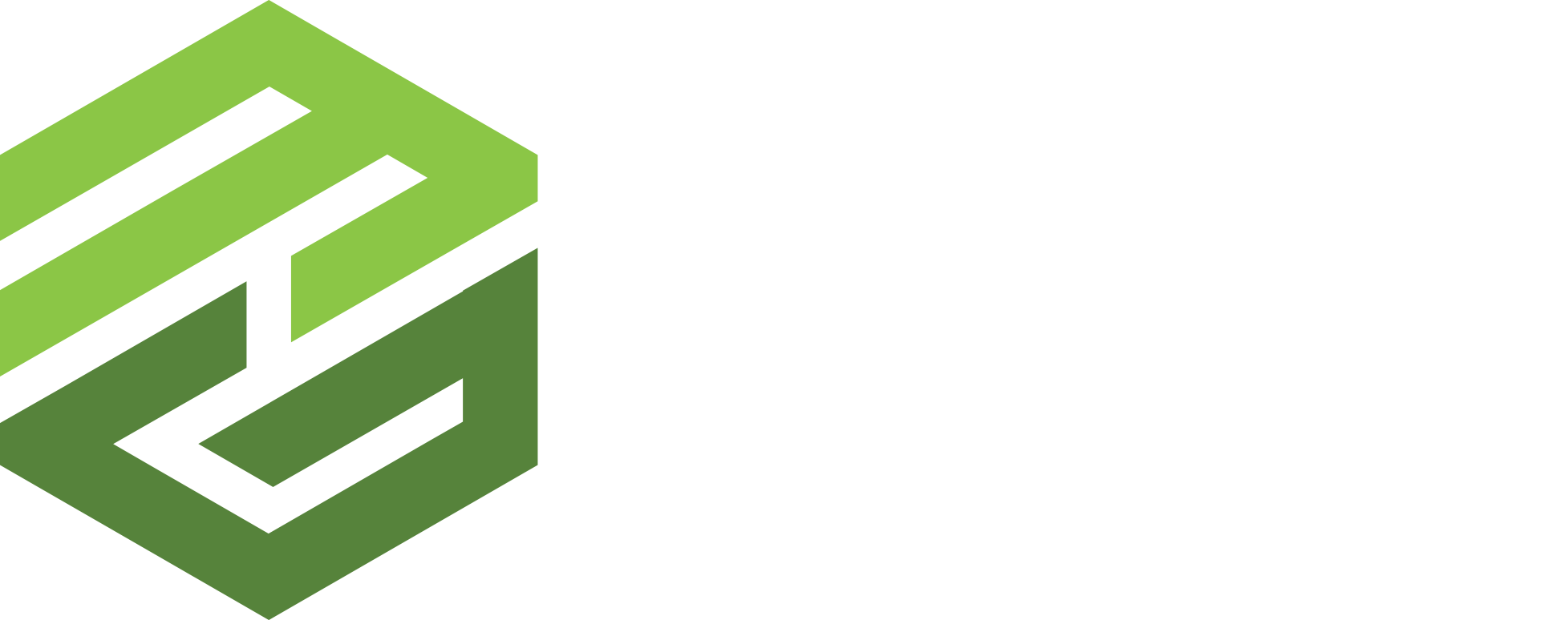 QuantumSynapse logo