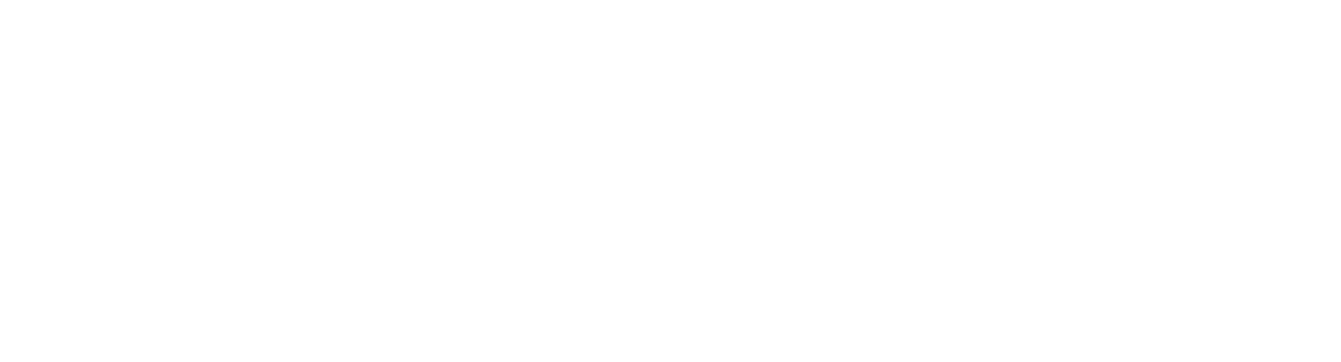 StarLink logo